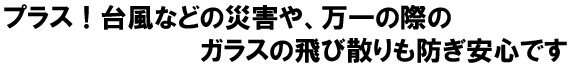 台風等の災害や万が一の時のガラスの飛び散りも防ぎ安心です